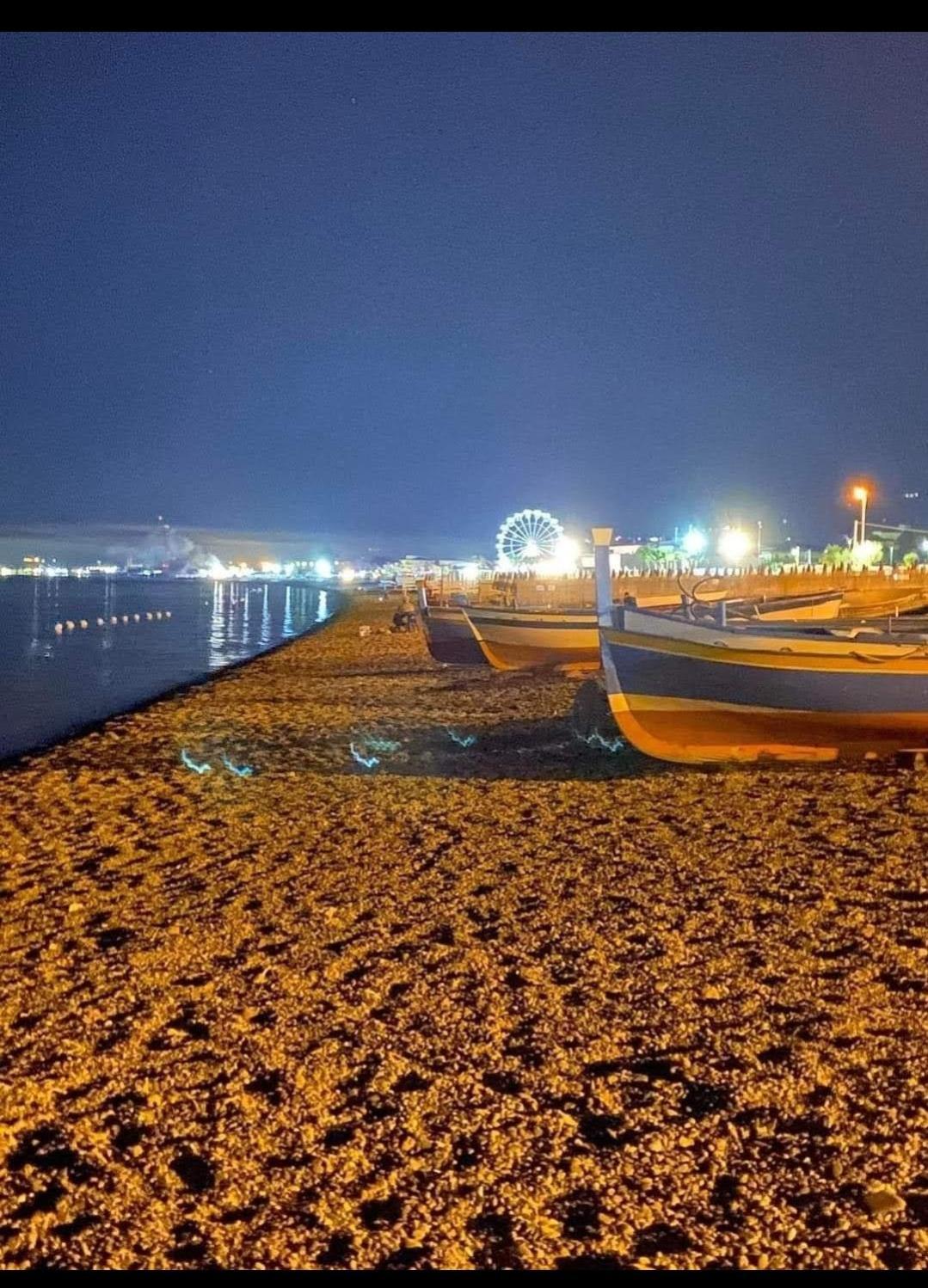 Aria Di Mare Luxury B&B Marina di Schiavonea Exterior photo